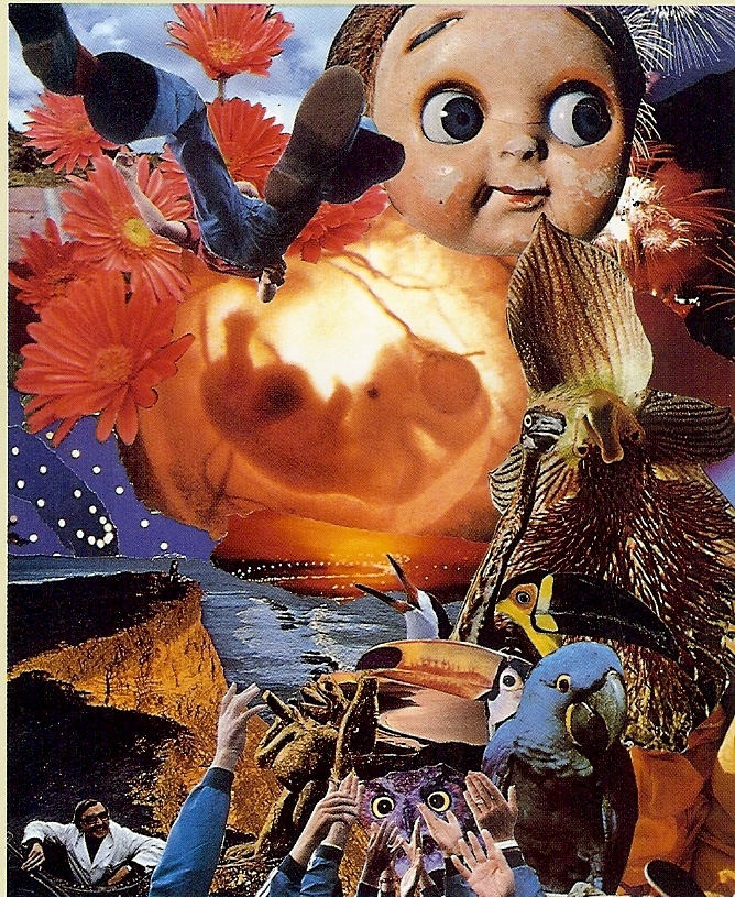 Fool-Child (image unavailable)